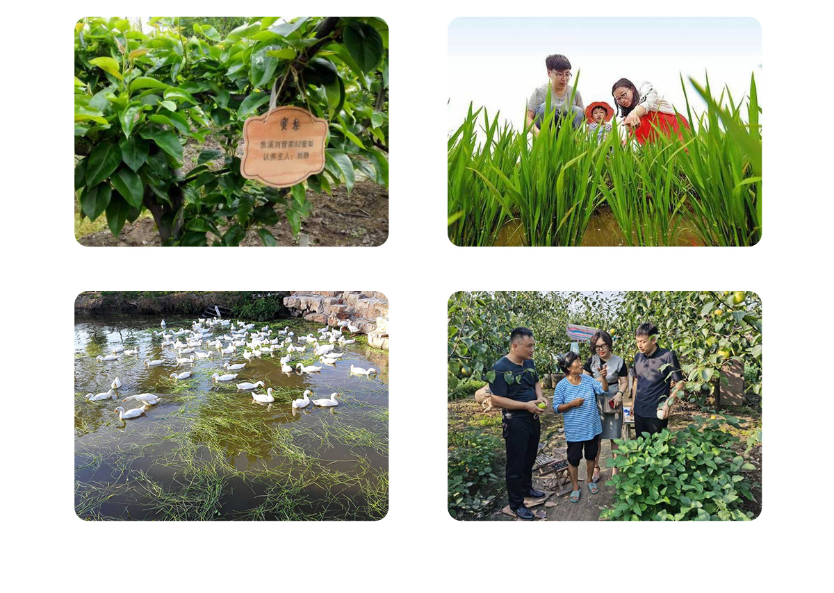 认养园地_13.jpg