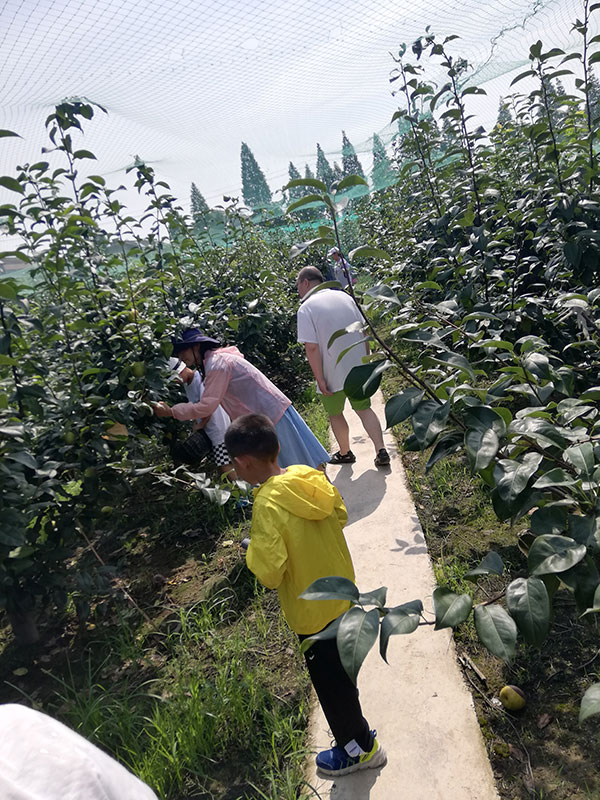 e222f229-edfc-4c39-b115-d27de837f82a.jpg